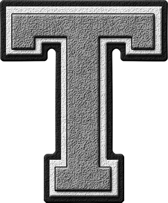 Silver Letter T Logo