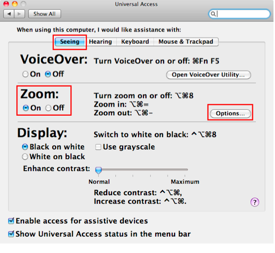 Seeing tab of Universal Access window selected, with Zoom feature highlighted.