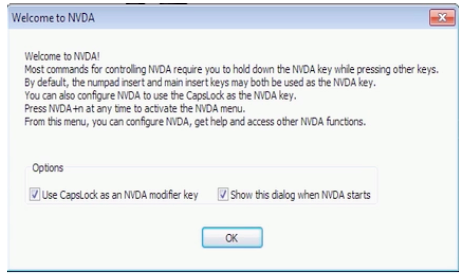 for windows instal NVDA 2023.2 Beta 2