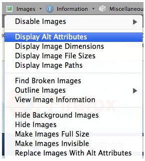 Display Alt Attributes selected from Images menu in Web Developer Toolbar.