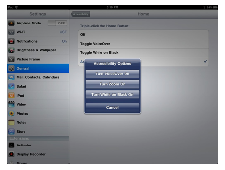 Accessibility Options popup menu with Toggle VoiceOver option.