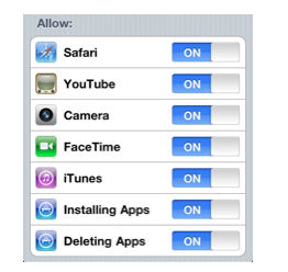 Options for Allow in Restrictions.